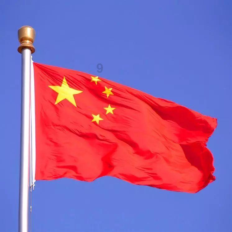 物种灭绝会影响生态平衡，老鼠灭绝会怎么样？游戏画面